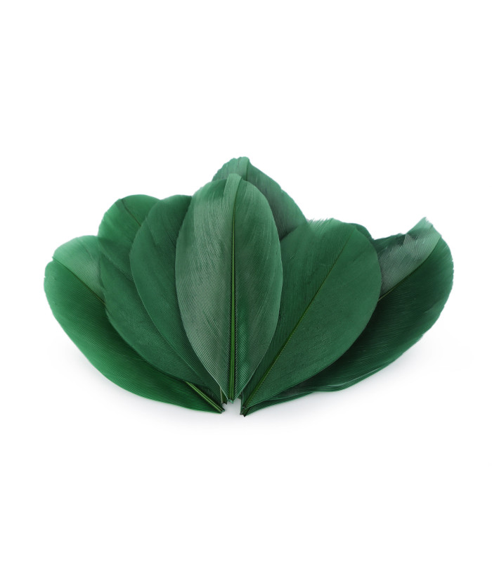 Plumes d'oie 5,5 - 7 cm x 10 pcs