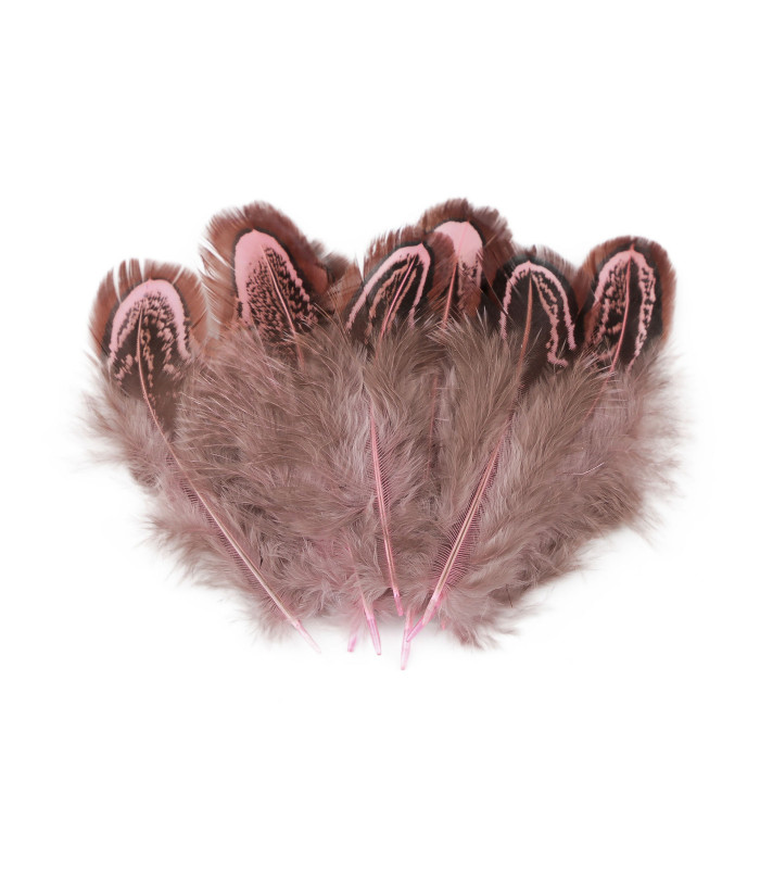 Sac à Plumes de Faisan 5-7cm de Longueur