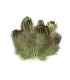 Sac à Plumes de Faisan 5-7cm de Longueur