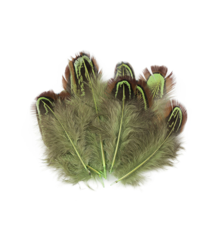 Sac à Plumes de Faisan 5-7cm de Longueur