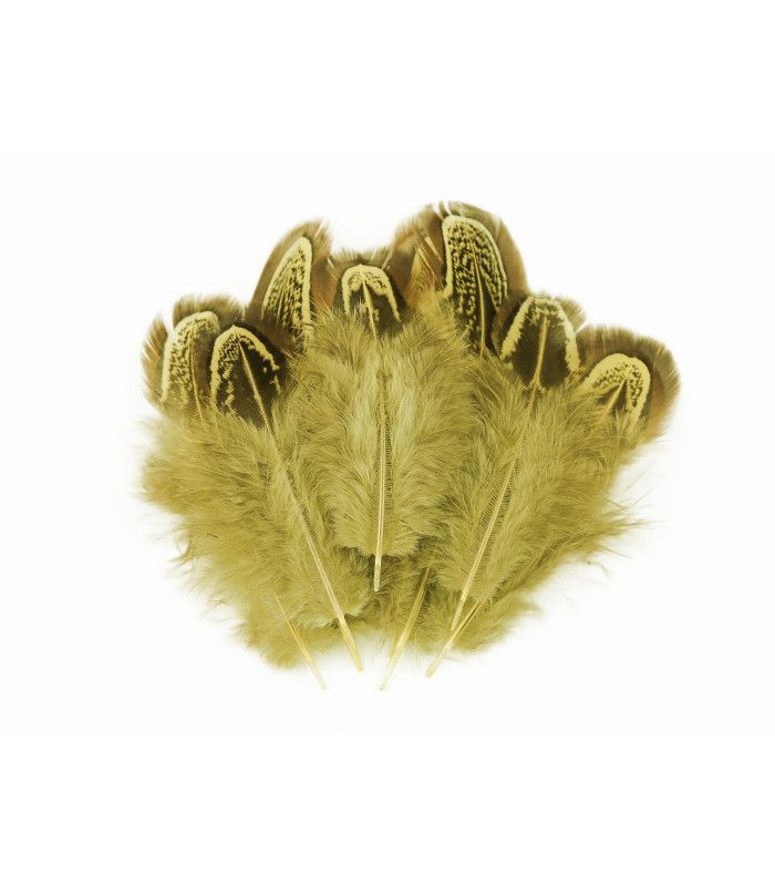 Sac à Plumes de Faisan 5-7cm de Longueur