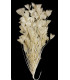 ASSEMBLAGE DE PLUMES DE COQ