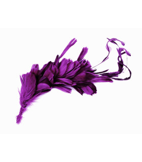 MONTAGE DE PLUMES COQ, CANARD ET OIE