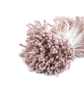 Pistil mat 2 mm. des côtés