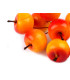 Pistil spécial "Apples" x 8 pcs.