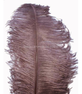 PLUME D´AUTRUCHE PREMIÈRE QUALITÉ 50-55 CMS.