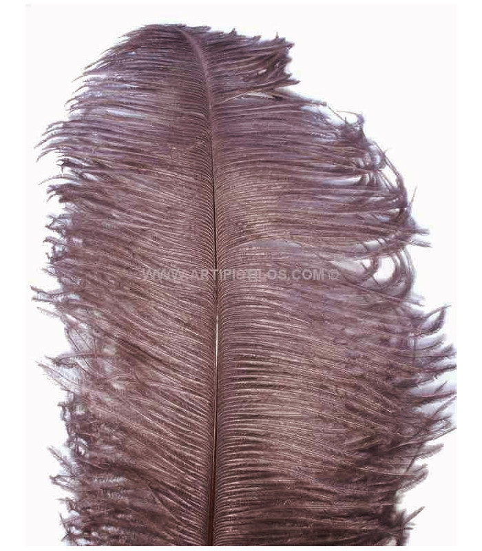 PLUME D´AUTRUCHE PREMIÈRE QUALITÉ 50-55 CMS.