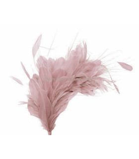 MONTAGE DE PLUMES 35 x 12 cm