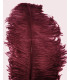 PLUME D´AUTRUCHE PREMIÈRE QUALITÉ 50-55 CMS.