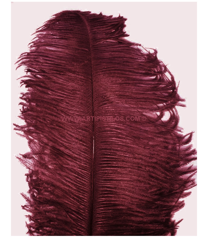 PLUME D´AUTRUCHE PREMIÈRE QUALITÉ 50-55 CMS.