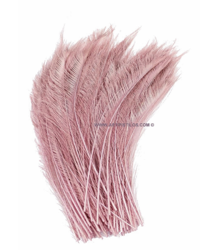 PLUME DE PAON ÉPÉE 60 CM