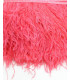 FRANGE PLUMES D´AUTRUCHE - 10 CMS.