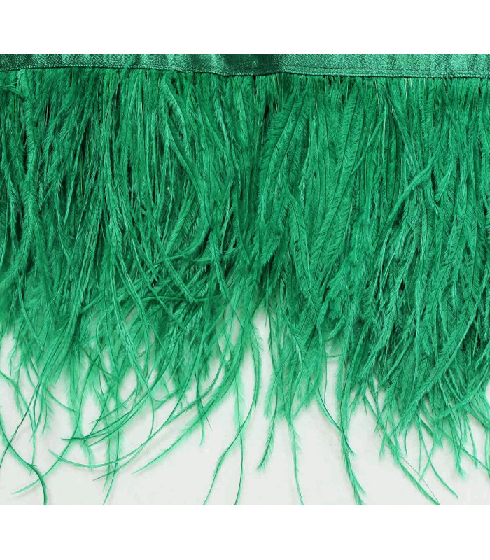 RUBAN D´AUTRUCHE 2 COUCHES 10 CMS. PREMIÈRE QUALITÉ