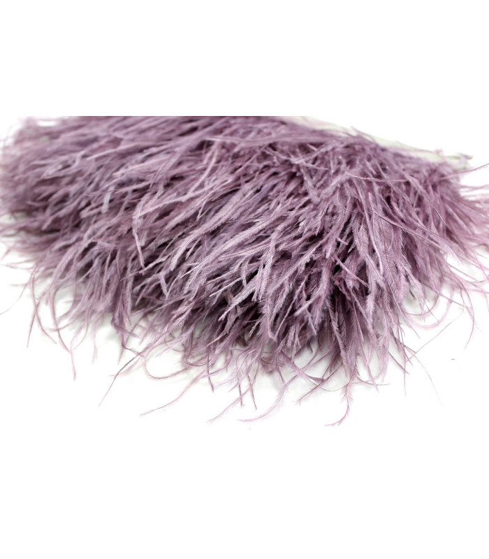 RUBAN D´AUTRUCHE 2 COUCHES 10 CMS. PREMIÈRE QUALITÉ