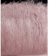 RUBAN D´AUTRUCHE 2 COUCHES 10 CMS. PREMIÈRE QUALITÉ