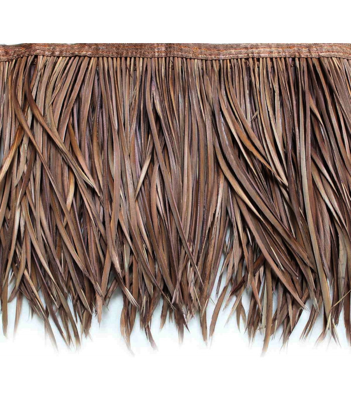 RUBAN D´OIE BIOT PREMIÉRE QUALITÉ -  10 CMS.