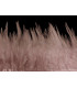 FRANGE DE PLUMES DE COQ 10 CMS.