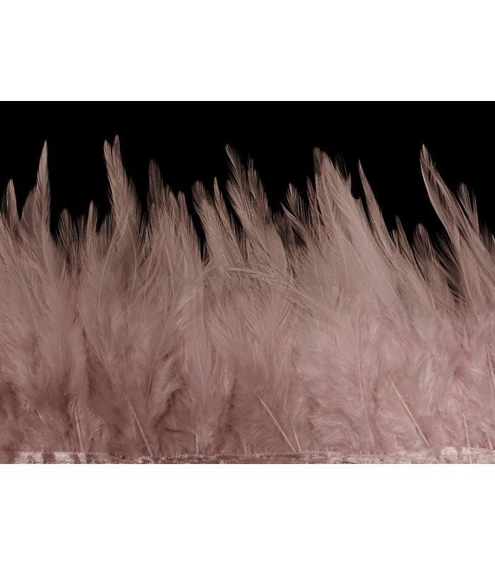 FRANGE DE PLUMES DE COQ 10 CMS.