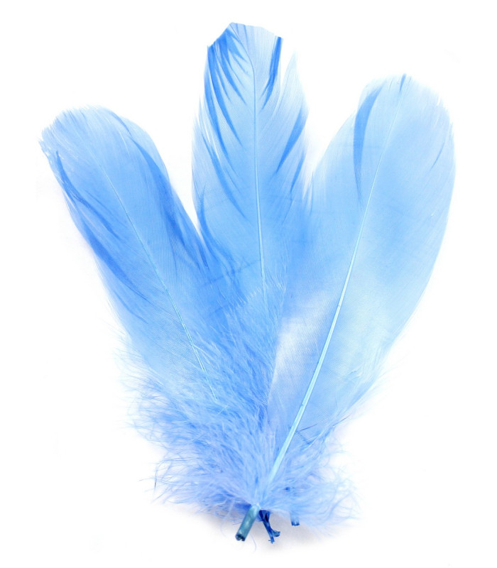 PLUME DE CANARD 15 CMS.
