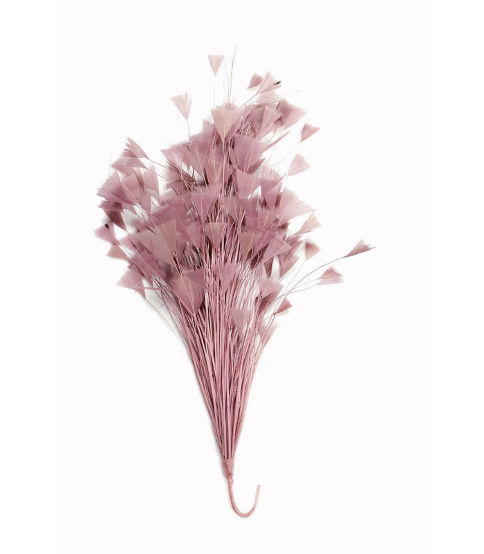 ASSEMBLAGE DE PLUMES 30 X 15 cm