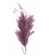 MONTAGE DE PLUMES COQ/AUTRUCHE/OIE