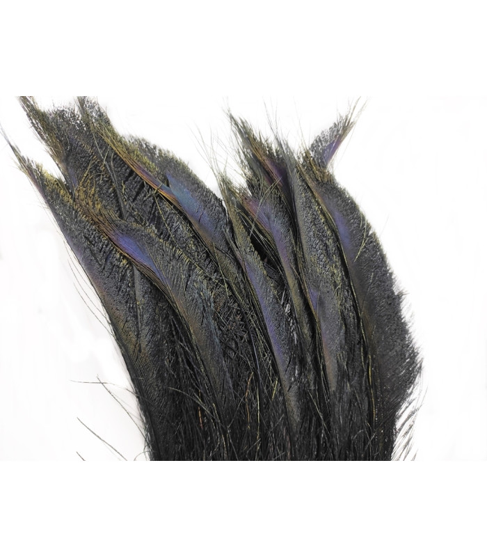 PLUME DE PAON ÉPÉE 60 CM
