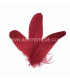 PLUME DE CANARD 15 CMS.