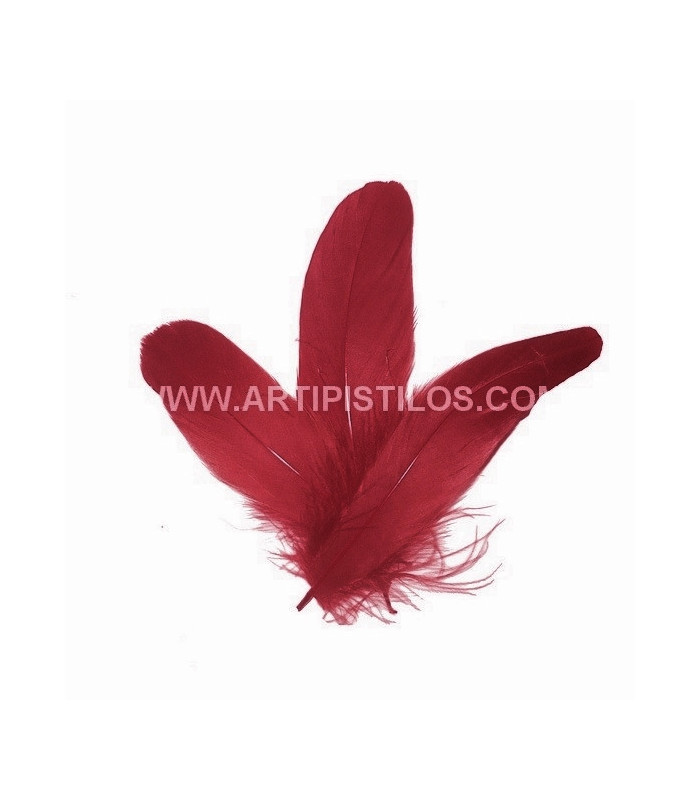 PLUME DE CANARD 15 CMS.