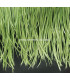 RUBAN D´OIE BIOT PREMIÉRE QUALITÉ -  10 CMS.