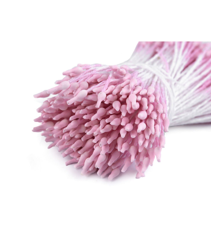 Faisceau de pistils de fleurs opaques