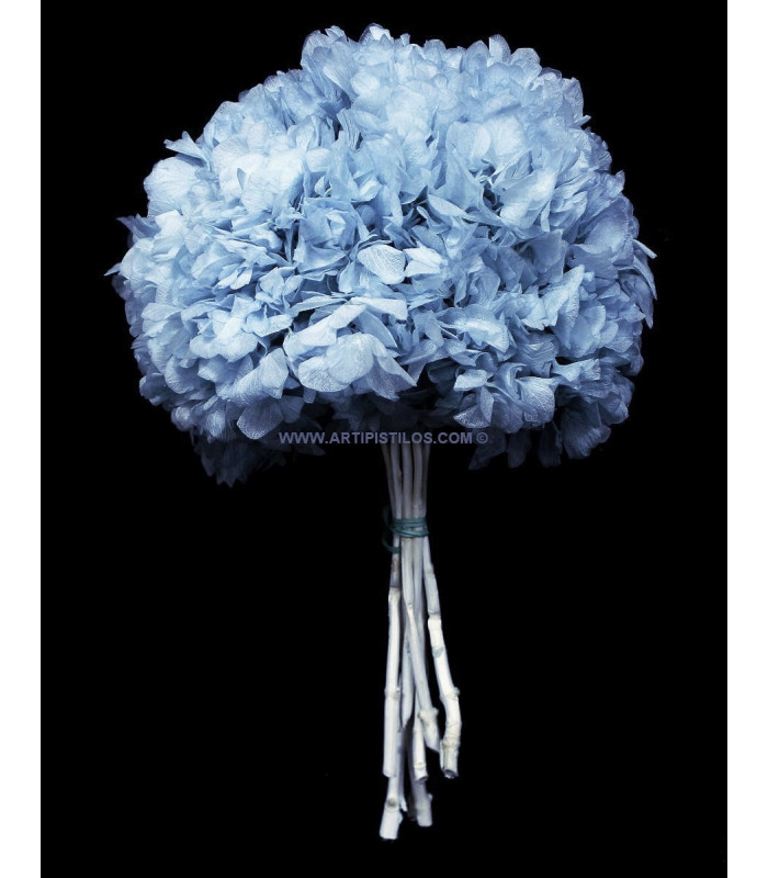 Hortensia préservé naturel