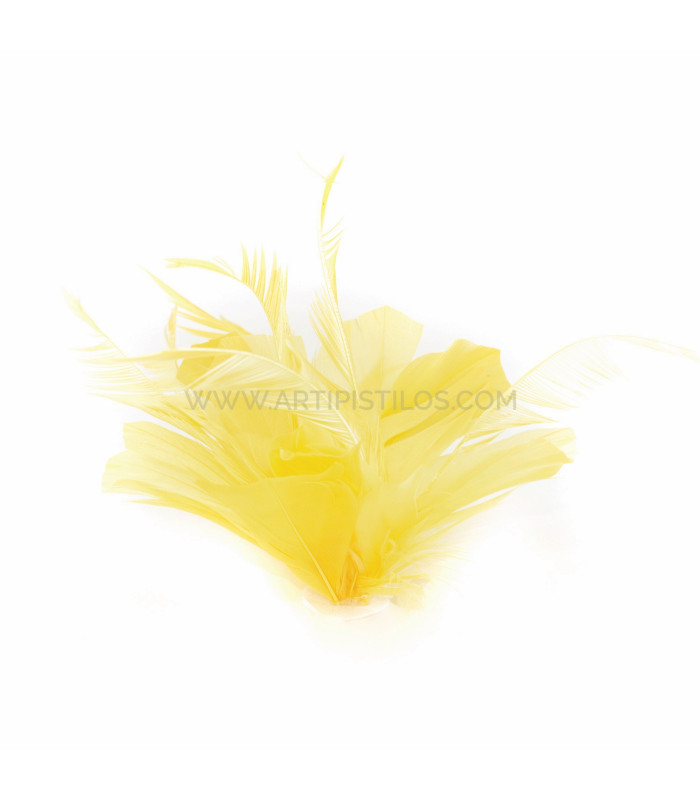 ASSEMBLAGE DE PLUMES DE CANARD ET D'OIE BIOT