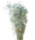 GYPSOPHILA PRÉSERVÉE "PREMIUM"
