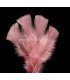 SAC DE PLUMES TURKEY FLAT