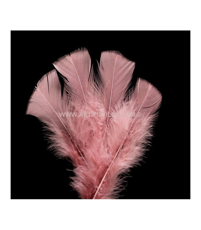 SAC DE PLUMES TURKEY FLAT