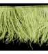 RUBAN D´AUTRUCHE 2 COUCHES 10 CMS. PREMIÈRE QUALITÉ