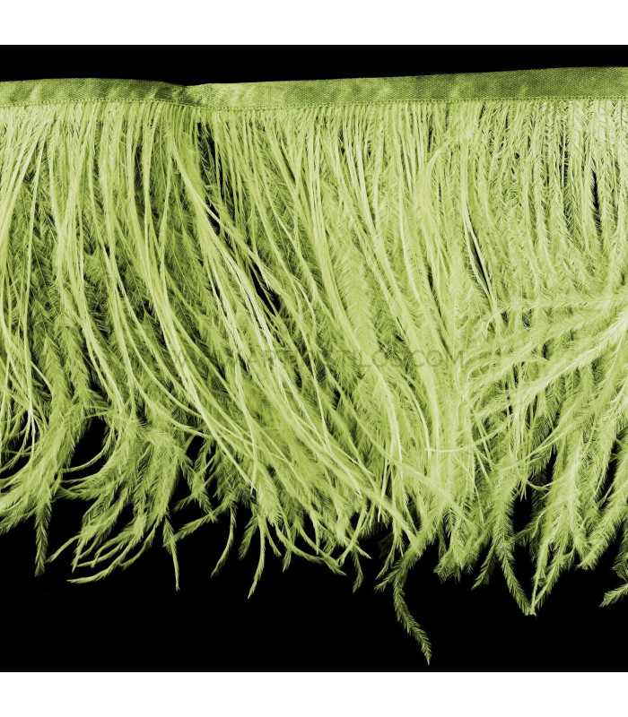 RUBAN D´AUTRUCHE 2 COUCHES 10 CMS. PREMIÈRE QUALITÉ