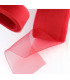 CRIN FIN 17 CMS.