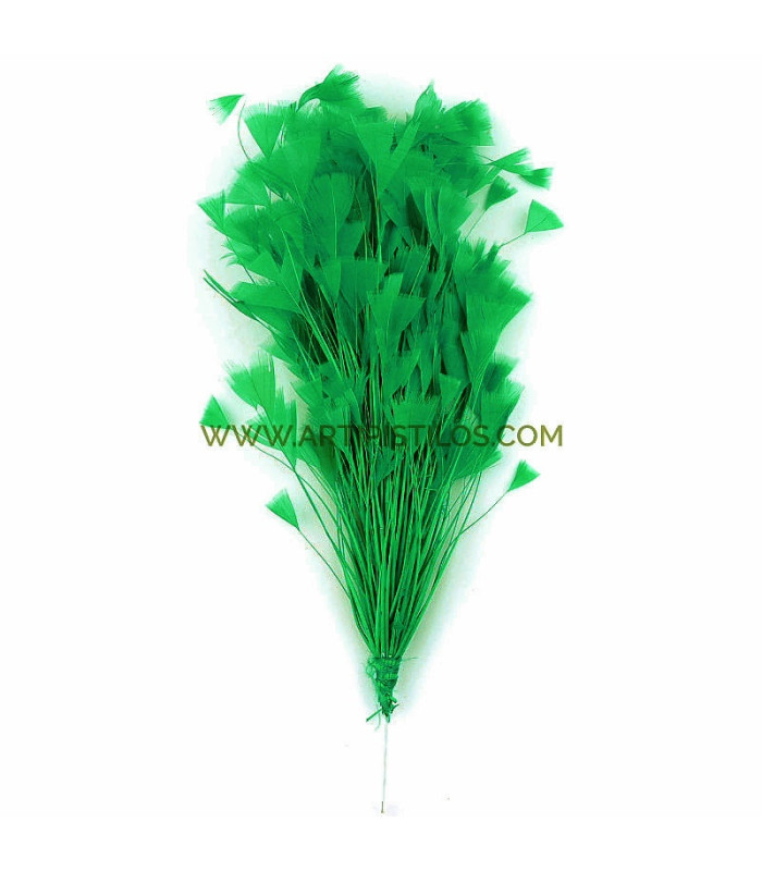 ASSEMBLAGE DE PLUMES DE COQ