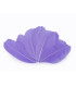 Plumes d'oie 5,5 - 7 cm x 10 pcs