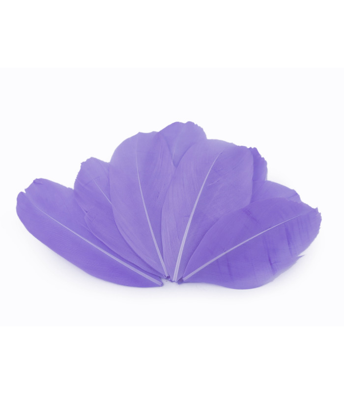 Plumes d'oie 5,5 - 7 cm x 10 pcs