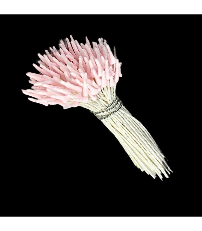 PISTIL POINTE DE LANCE