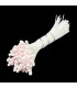 PISTIL GROS MAT