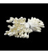 PISTIL DOUBLE GROS