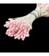PISTIL DOUBLE GROS