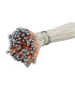 BOUQUET DE PISTILS - TIGE EN FIL DE COTON
