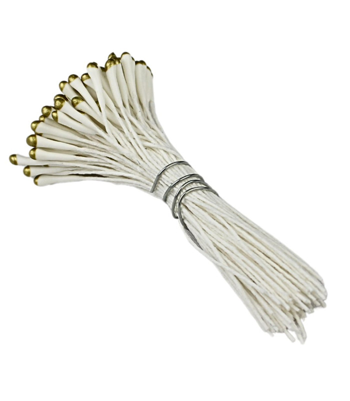 BOUQUET DE PISTILS - TIGE EN FIL DE COTON