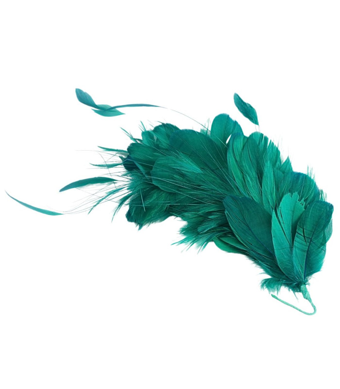 MONTAGE DE PLUMES 35 x 12 cm