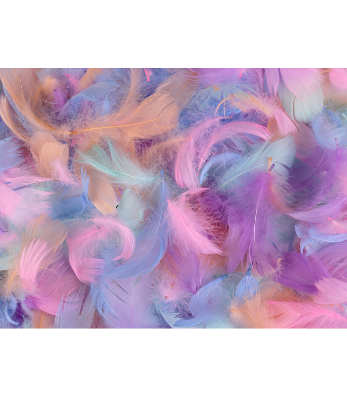 SAC EN PLUMES PASTEL