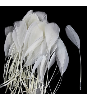 PLUMAS RECORTADAS DE PATO